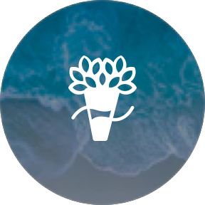 Creative services