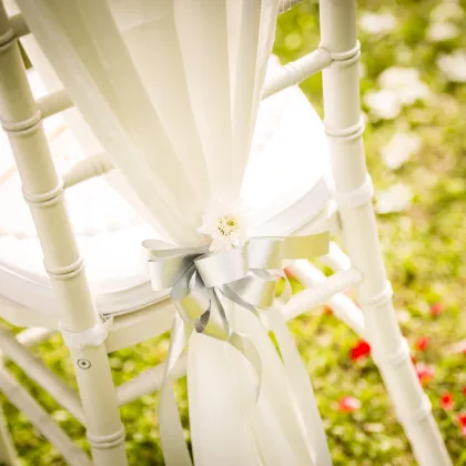 Wedding lifestyle