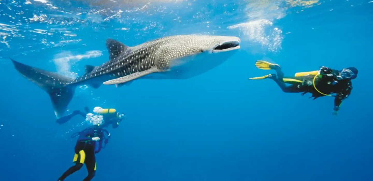 Maldives excursion
