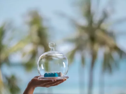 Surprise of the Day at Centara Reserve Samui