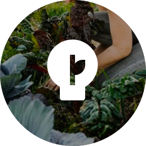 Eco Technology USP