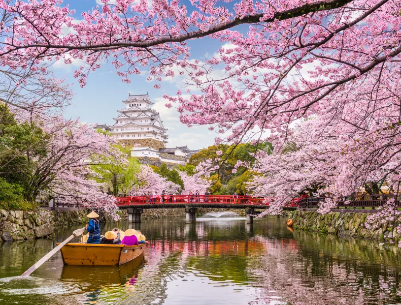 Japan Destination