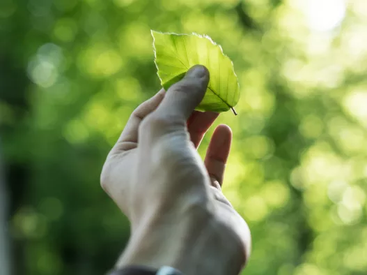 Eco-friendly accommodation by Centara Hotels & Resorts