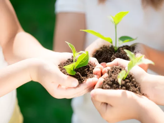 Sustainable garden at an eco-friendly resort in Thailand by Centara Hotels & Resorts
